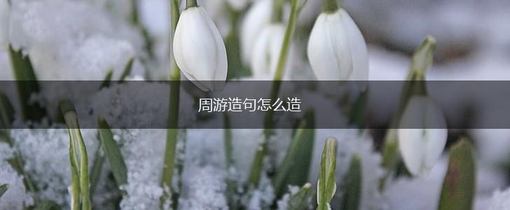 周游造句怎么造,第1张