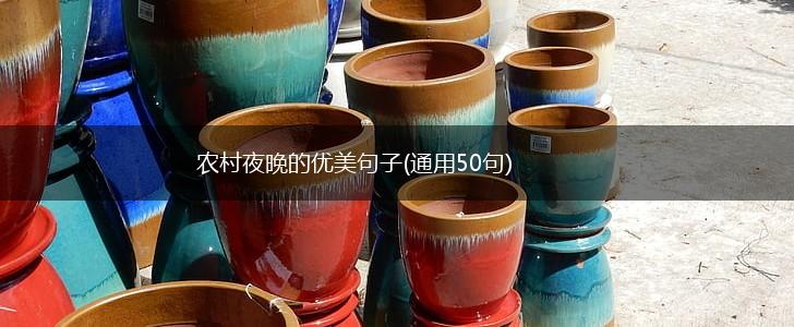 农村夜晚的优美句子(通用50句),第1张
