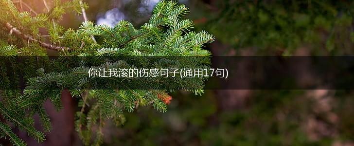 你让我滚的伤感句子(通用17句),第1张