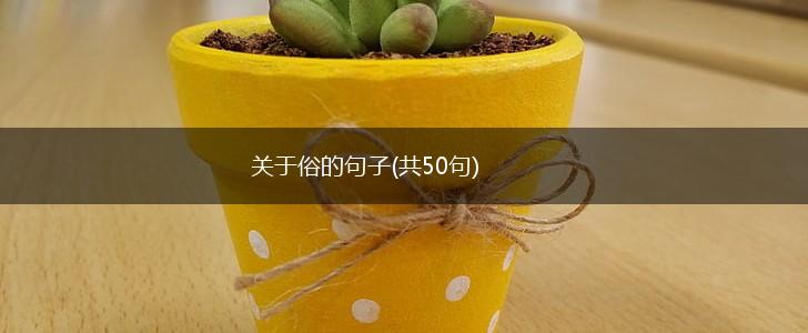 关于俗的句子(共50句),第1张