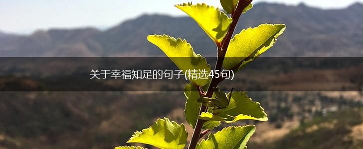 关于幸福知足的句子(精选45句),第1张