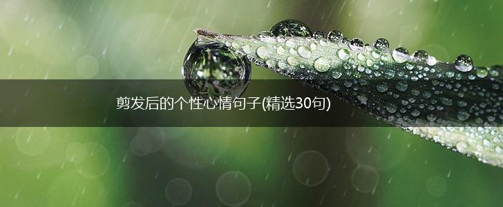剪发后的个性心情句子(精选30句),第1张