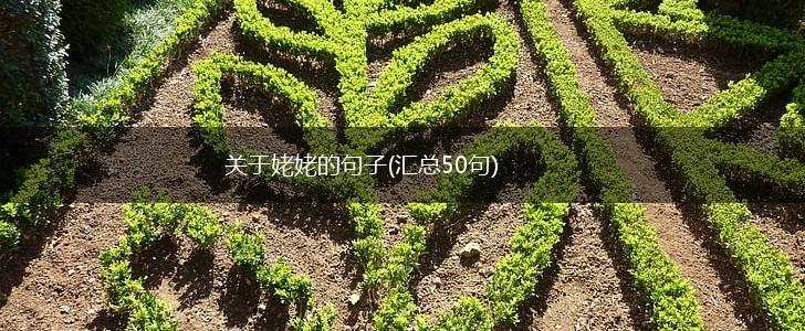 关于姥姥的句子(汇总50句),第1张