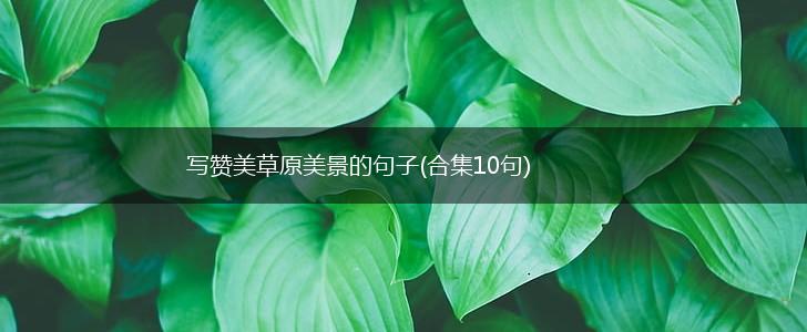 写赞美草原美景的句子(合集10句),第1张