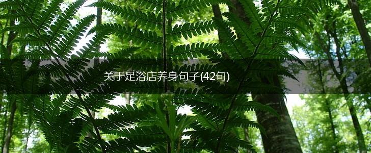 关于足浴店养身句子(42句),第1张