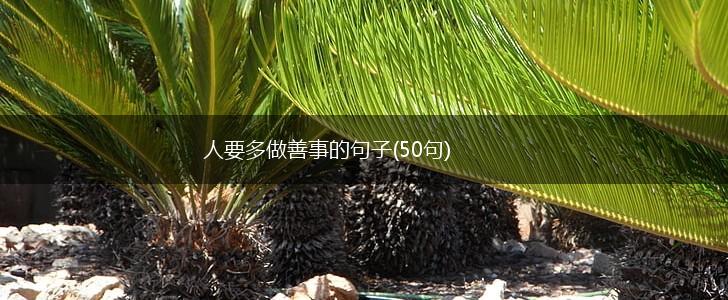 人要多做善事的句子(50句),第1张