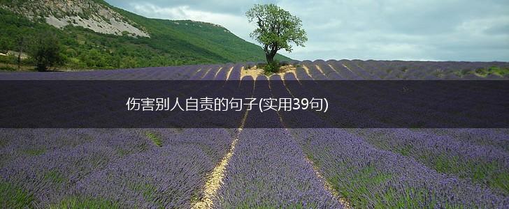 伤害别人自责的句子(实用39句),第1张