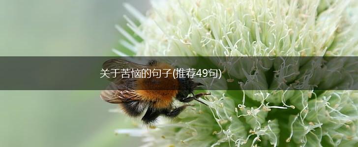 关于苦恼的句子(推荐49句),第1张