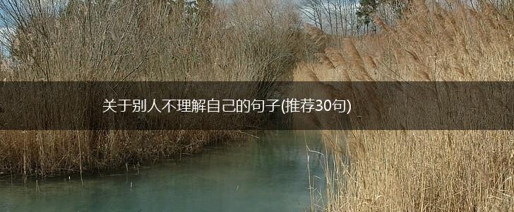 关于别人不理解自己的句子(推荐30句),第1张