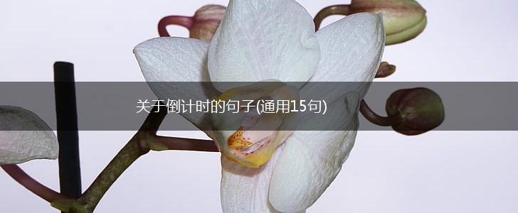 关于倒计时的句子(通用15句),第1张