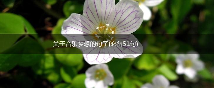 关于音乐梦想的句子(必备51句),第1张