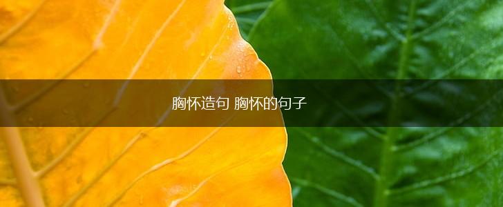 胸怀造句 胸怀的句子,第1张