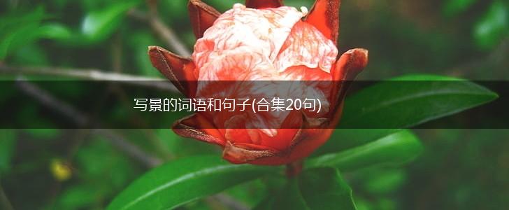 写景的词语和句子(合集20句),第1张