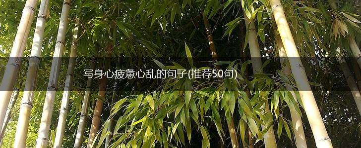 写身心疲惫心乱的句子(推荐50句),第1张