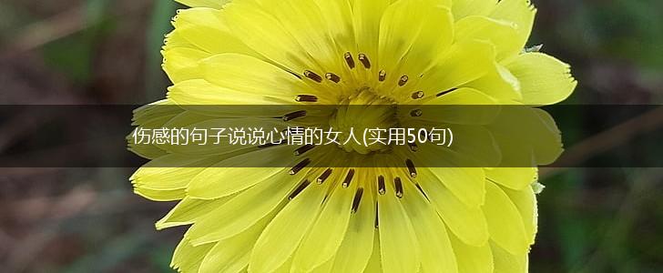 伤感的句子说说心情的女人(实用50句),第1张