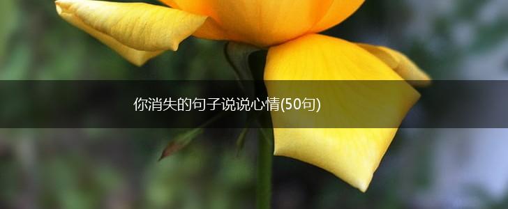 你消失的句子说说心情(50句),第1张
