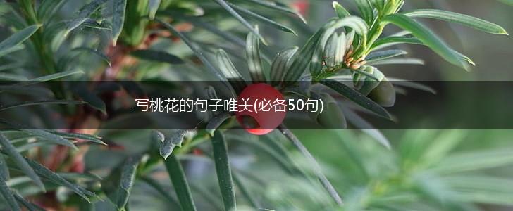 写桃花的句子唯美(必备50句),第1张