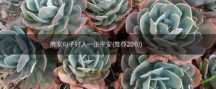 佛家句子好人一生平安(推荐20句),第1张