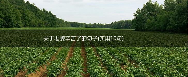 关于老婆辛苦了的句子(实用10句),第1张