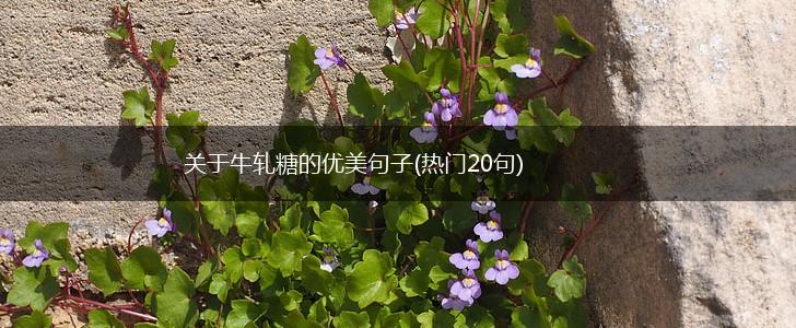 关于牛轧糖的优美句子(热门20句),第1张