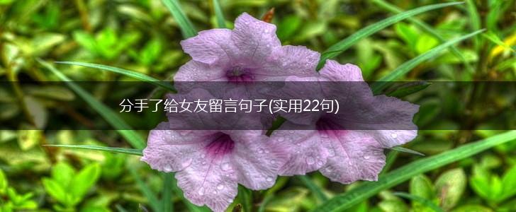 分手了给女友留言句子(实用22句),第1张
