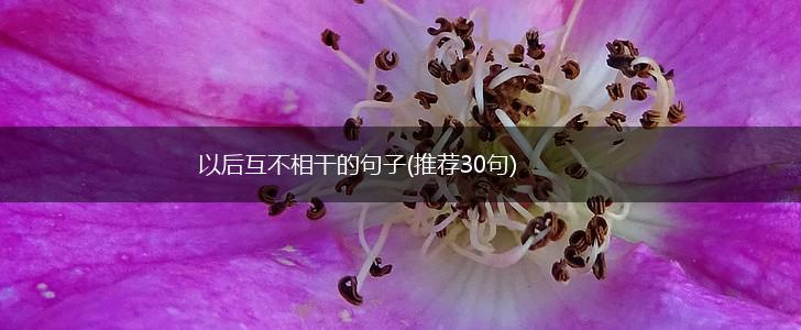 以后互不相干的句子(推荐30句),第1张