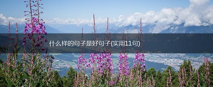 什么样的句子是好句子(实用11句),第1张