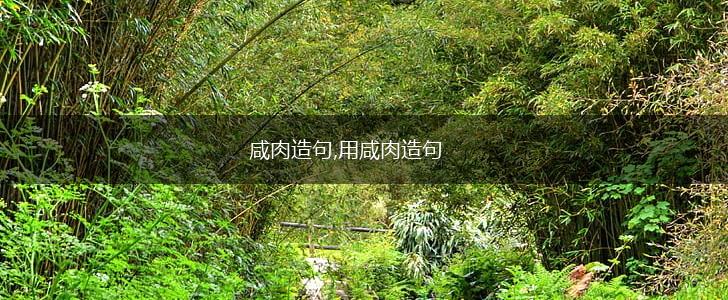 咸肉造句,用咸肉造句,第1张