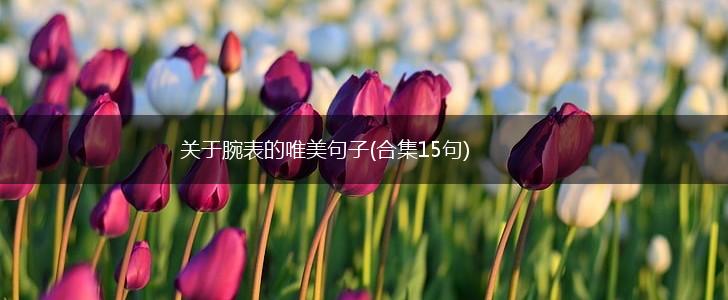 关于腕表的唯美句子(合集15句),第1张