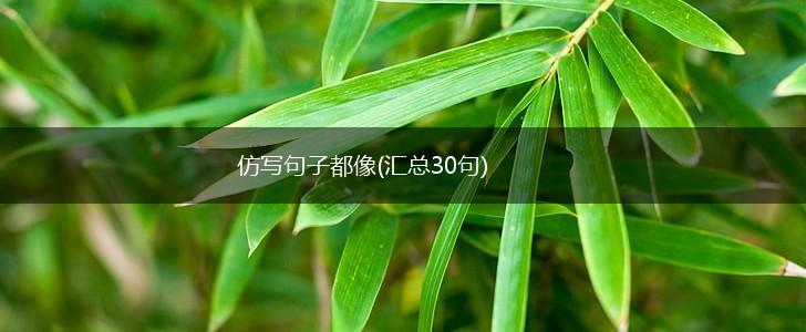 仿写句子都像(汇总30句),第1张