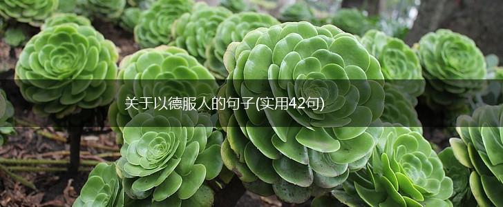 关于以德服人的句子(实用42句),第1张