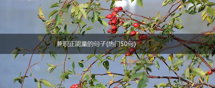 兼职正能量的句子(热门50句),第1张