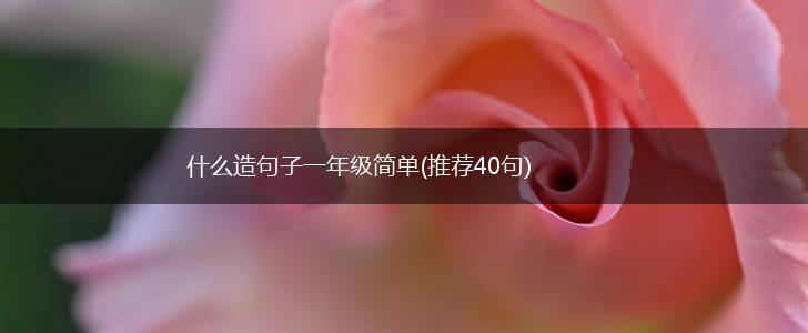 什么造句子一年级简单(推荐40句),第1张