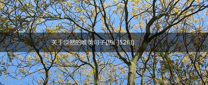 关于淡然的唯美句子(热门52句),第1张