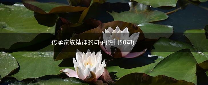 传承家族精神的句子(热门50句),第1张