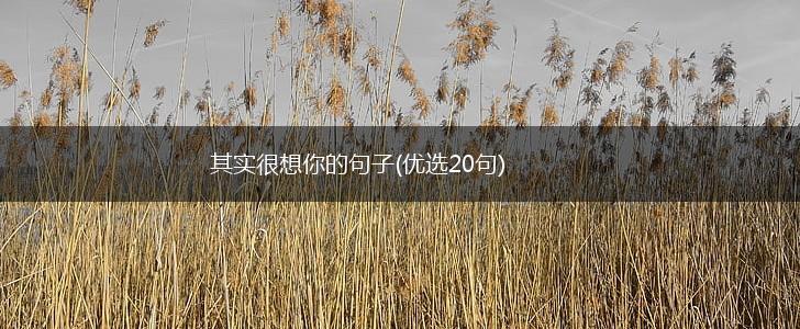 其实很想你的句子(优选20句),第1张