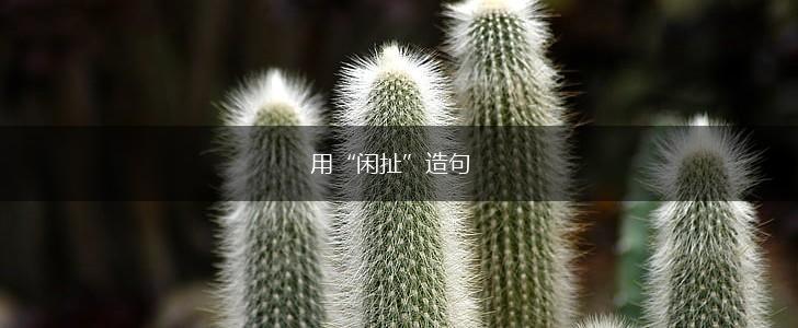 用“闲扯”造句,第1张