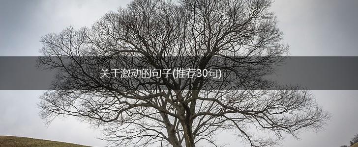 关于激动的句子(推荐30句),第1张