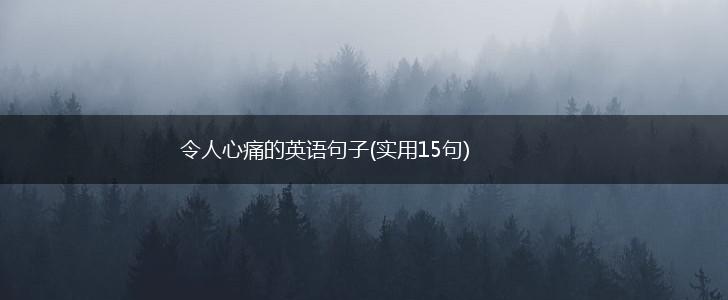 令人心痛的英语句子(实用15句),第1张