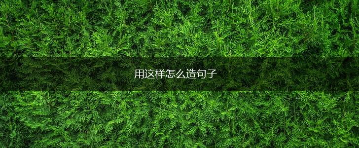 用这样怎么造句子,第1张