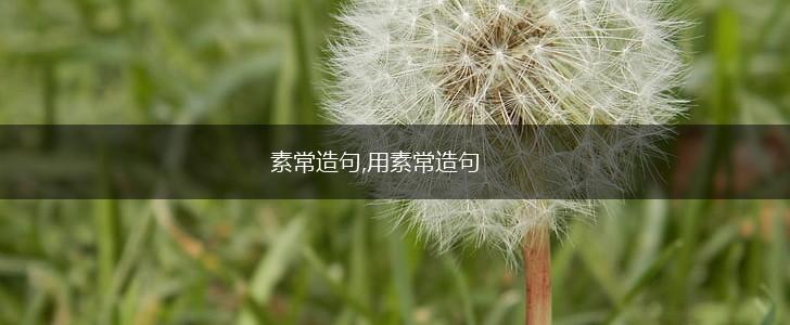 素常造句,用素常造句,第1张