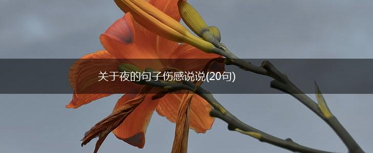 关于夜的句子伤感说说(20句),第1张