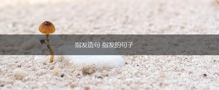 指发造句 指发的句子,第1张