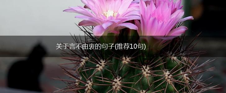 关于言不由衷的句子(推荐10句),第1张