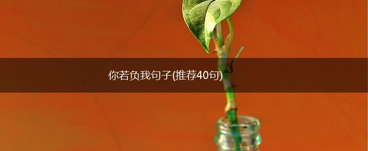 你若负我句子(推荐40句),第1张