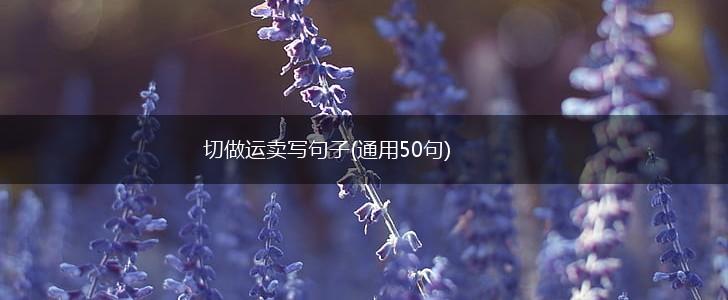 切做运卖写句子(通用50句),第1张
