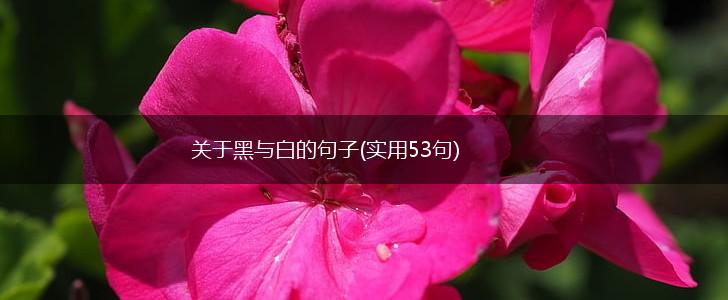 关于黑与白的句子(实用53句),第1张