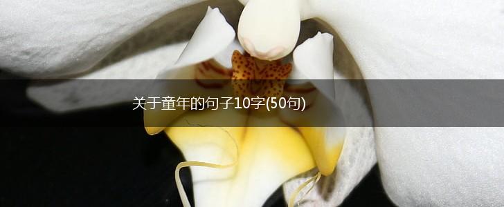 关于童年的句子10字(50句),第1张