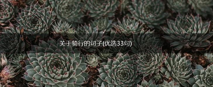 关于骑行的句子(优选33句),第1张