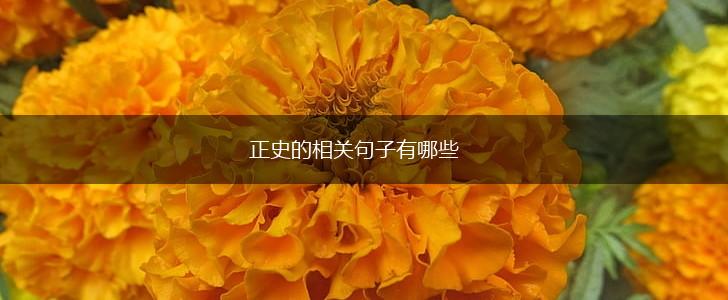 正史的相关句子有哪些,第1张